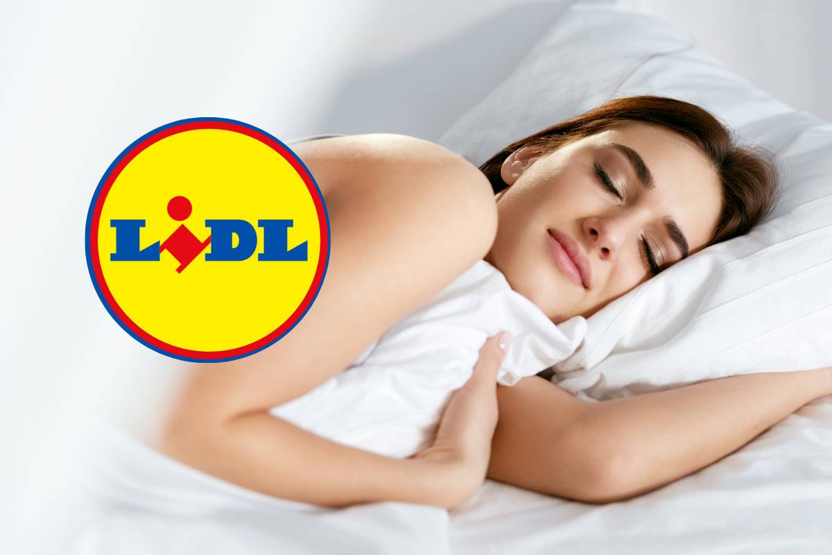 lidl logo donna che dorme